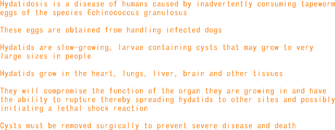 tapeworm_info2